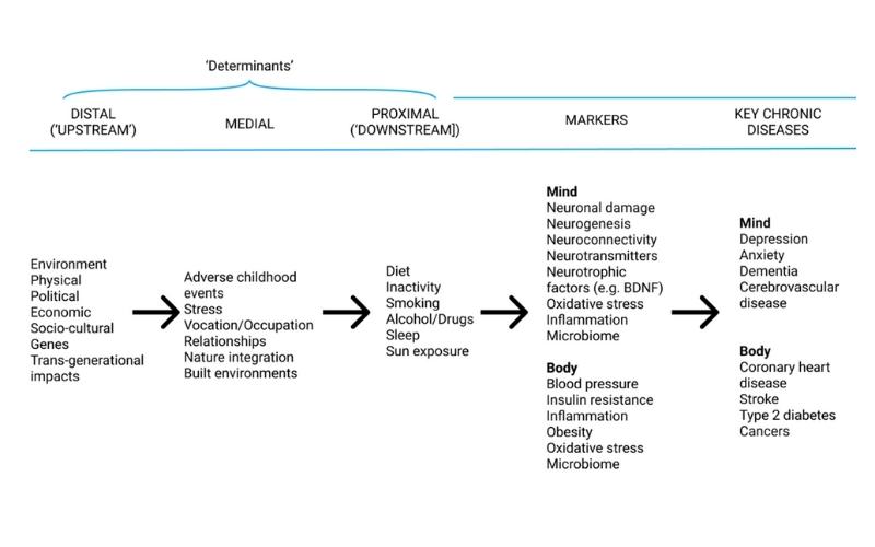 Lifestyle-Medicine-Model-of-Disease-1