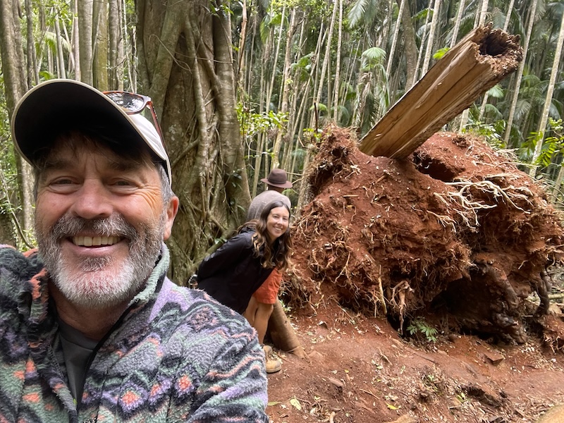 John Stevens Gondwana Rainforest Walk